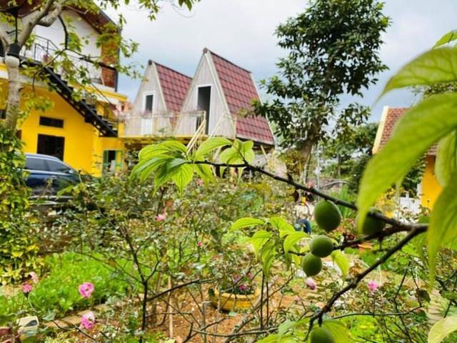 Bo House Hotell Moc Chau Eksteriør bilde